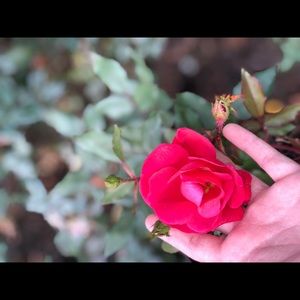 Meet your Posher, Ava